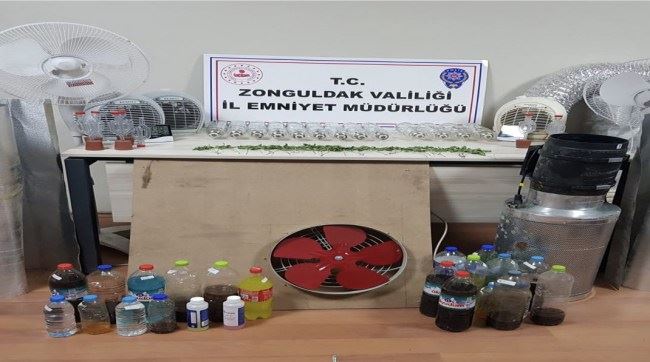 Kdz.Ereğli’de kenevir üreticilerine operasyon