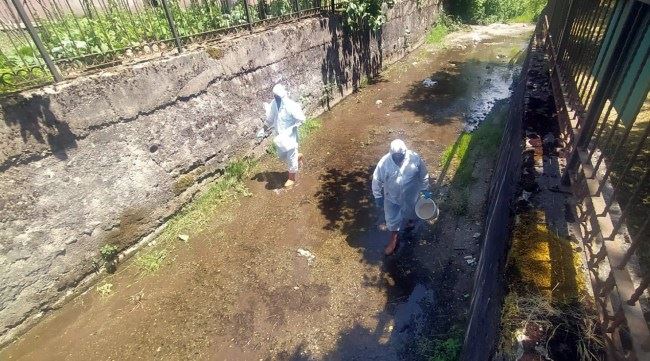 Kdz. Ereğli Belediyesi ilaçlama çalışmalarına başladı