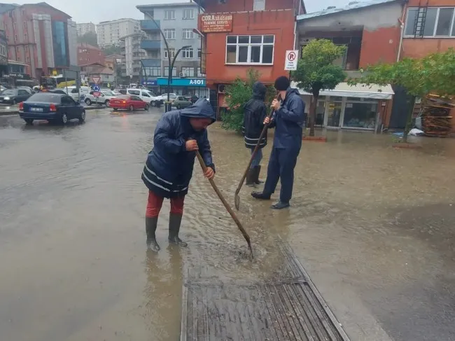 Kilimli sular altında