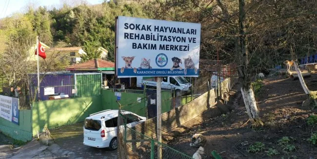 4 Ekim Dünya Hayvanları Koruma Günü